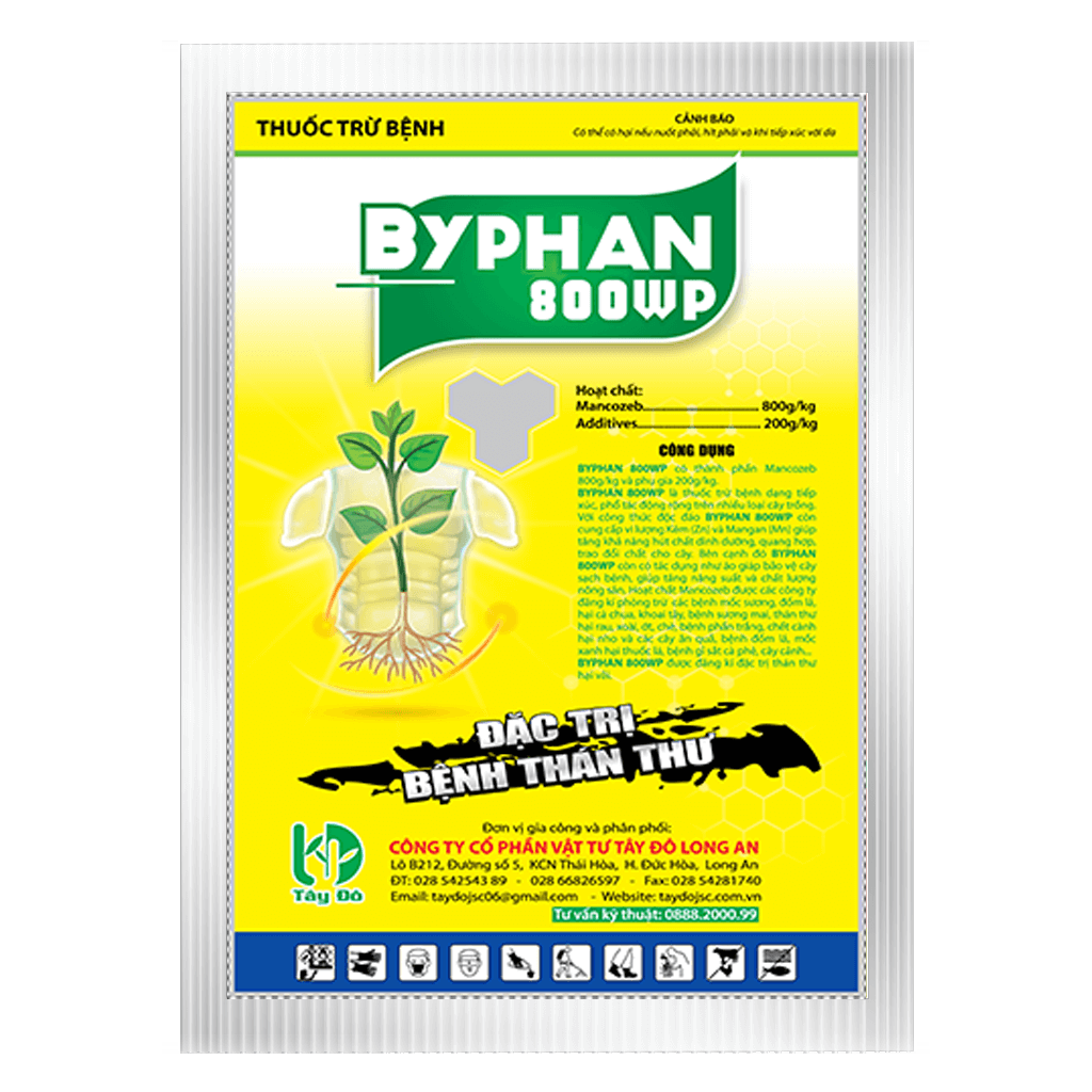 BYPHAN 800WP - Ảnh 4