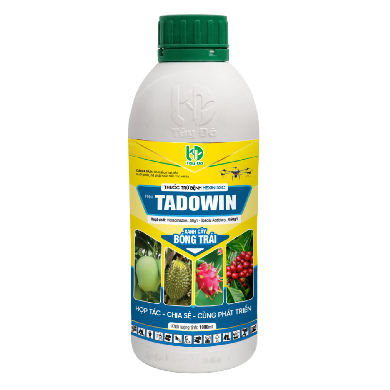 TADOWIN